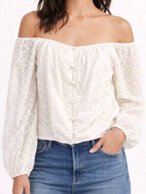 Heatherly cropped sheer floral embroidered button front  ivory off-white blouse